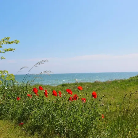 Nur 100 M Zum Strand, Mit Balkon Und Eigener Sauna - App Eldena 09 * Lobbe