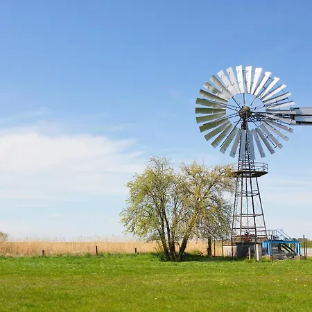 Apartament Nur 100 M Zum Strand, Mit Balkon Und Eigener Sauna - App Eldena 09